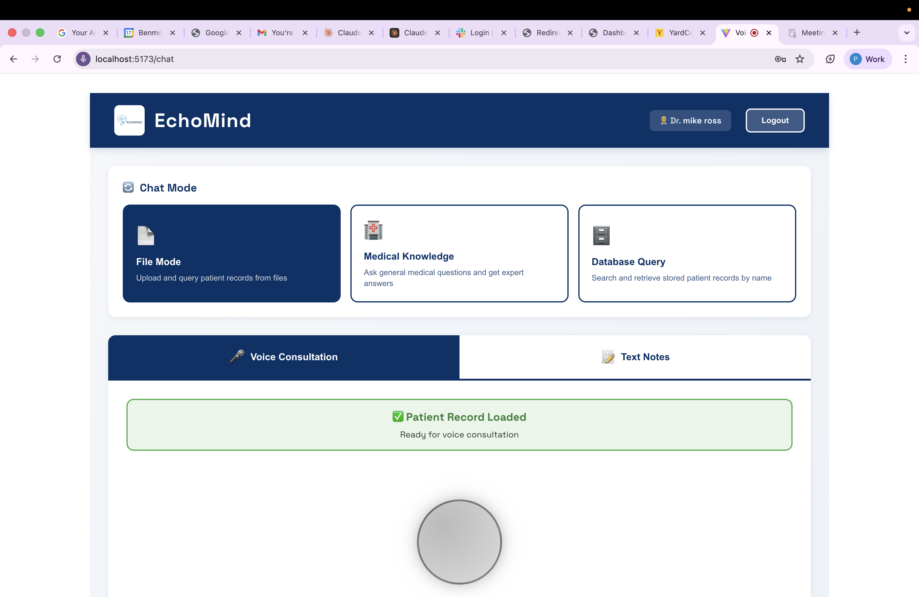 EchoMind dashboard with voice orb and query modes